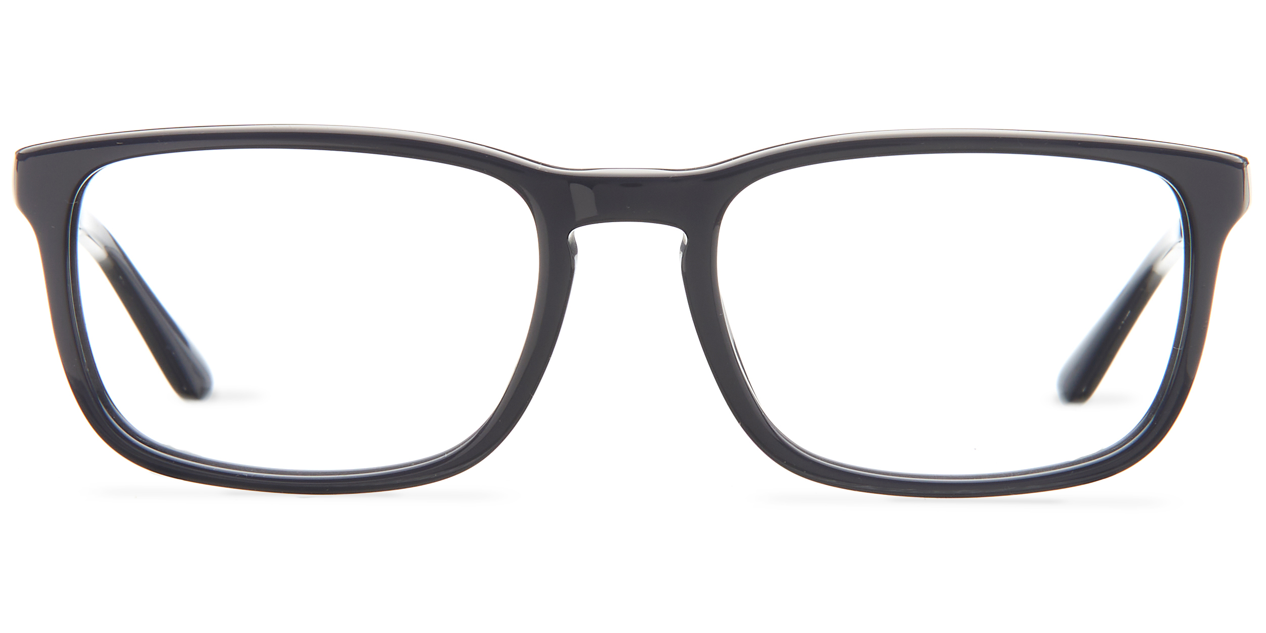 Polo Ralph Lauren Glasses PH2202 53